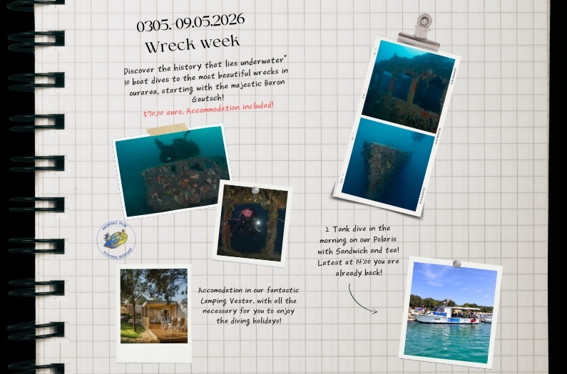 2026 Wrack Woche 